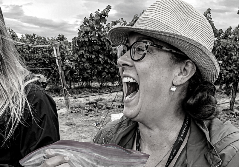 Black and white image of a woman laughing while holding a bag of wine grapes. She wears fedora hat and rain jacket. Vines with poles are in the background.