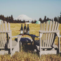 Two adarondack chairs with a table between them with three bottles of wine. The chairs are in a brown field with pine trees at the edge of the field and a snow-covered mountain in the background.