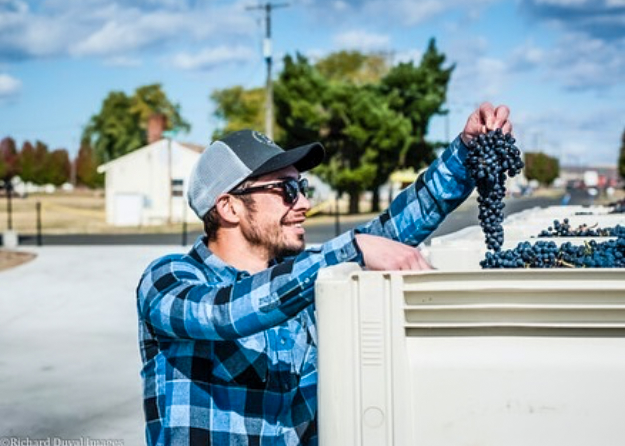 A man in sunglasses, ball cap, and blue plaid shirt smiles and holds up a grape cluster from a white bin of grapes. A road, small buildings, and trees are out of focus behind him.