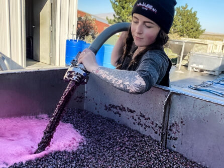A young woman holds a hose as it pumps grape juice into a metal bin of crushed grapes and juice. A white building in behind her on the left and trees and blue sky on the right.