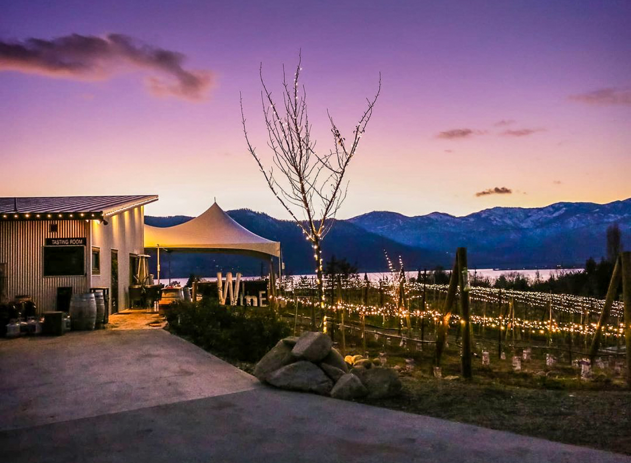 Sunset colors the sky pink and peach over a small building with a "Tasting Room" sign. There is a tent and grape vines with twinkle lights to the right of the building.