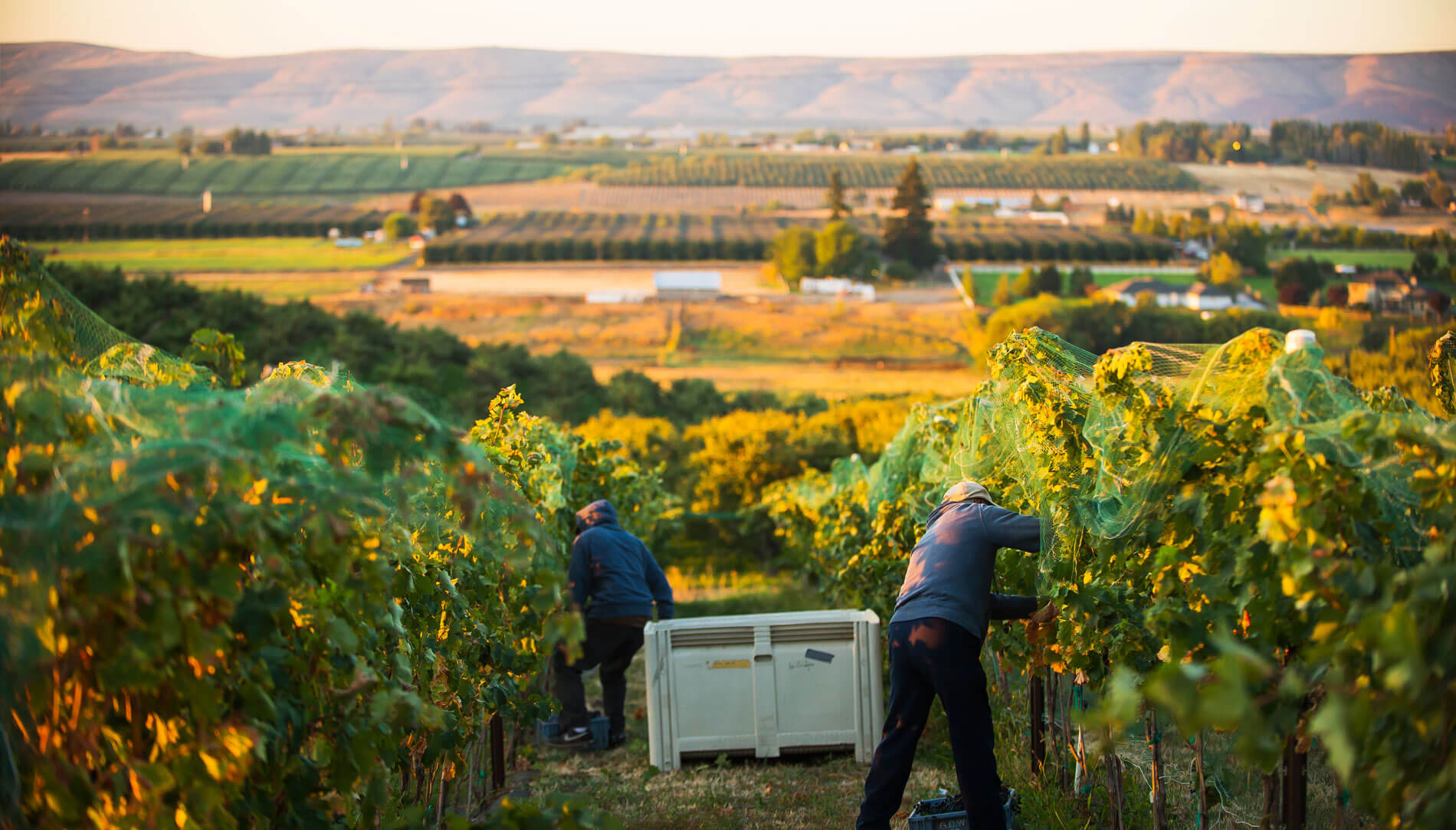 Naches Heights AVA Washington State Wine Commission