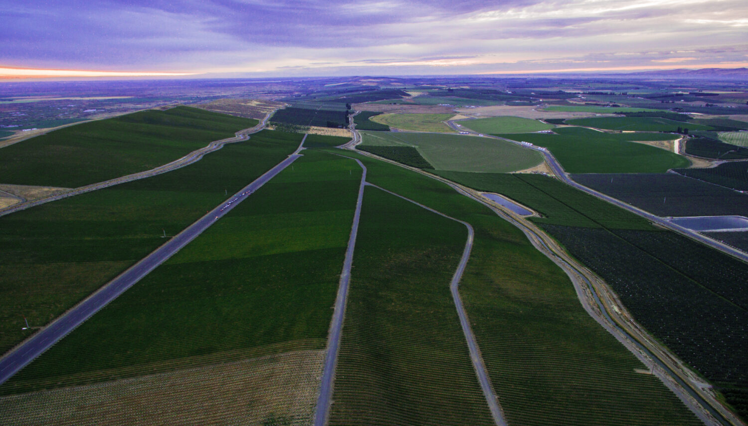 Aerial view of green vineyard blocks at twilight, divided by roads and stretching toward a blue horizon. The sky above is purple and blue.