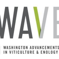 Logo for Washington Advancements in Viticulture and Enology (WAVE)