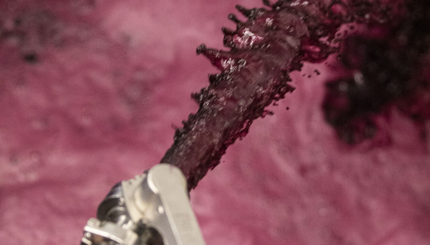 Hands hold a hose with a metal nozzle that sprays red grape juice into a vessel holding more grape juice and pink foam.