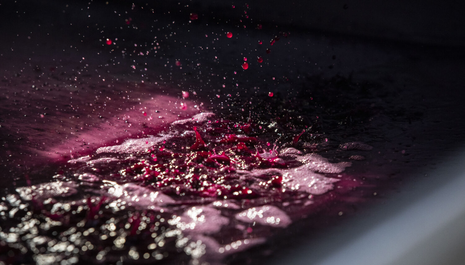 Light hit drops of fuchsia purple grape juice fall into a pool of juice surrounded by shadows.