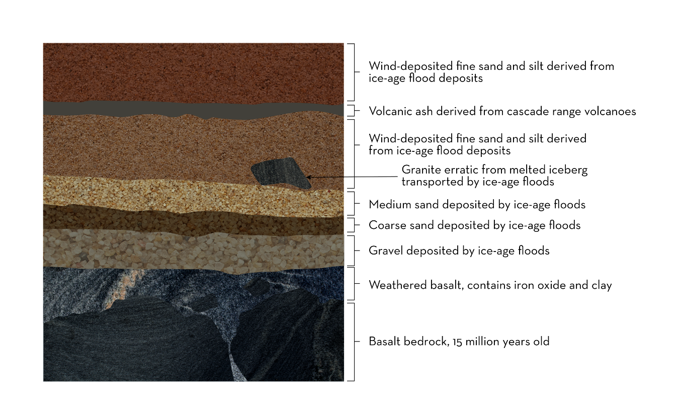 Graphic illustrating the different layers of deposited sediment and corresponding cause and age.