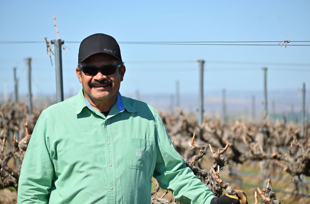 A mustached man with sunglasses, black hat, and green button-up shirt smiles stands in front of vines without leaves.