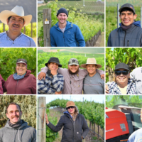A collage of 9 images of people smiling in vineyards.
