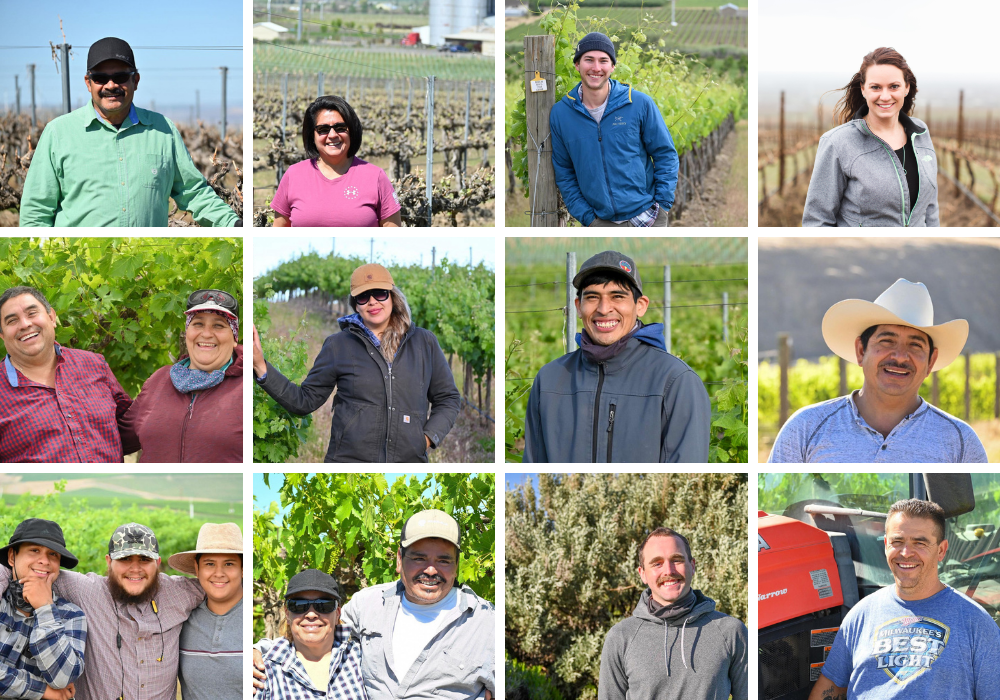 A collage of 12 images of people smiling and standing in front of vineyards, 