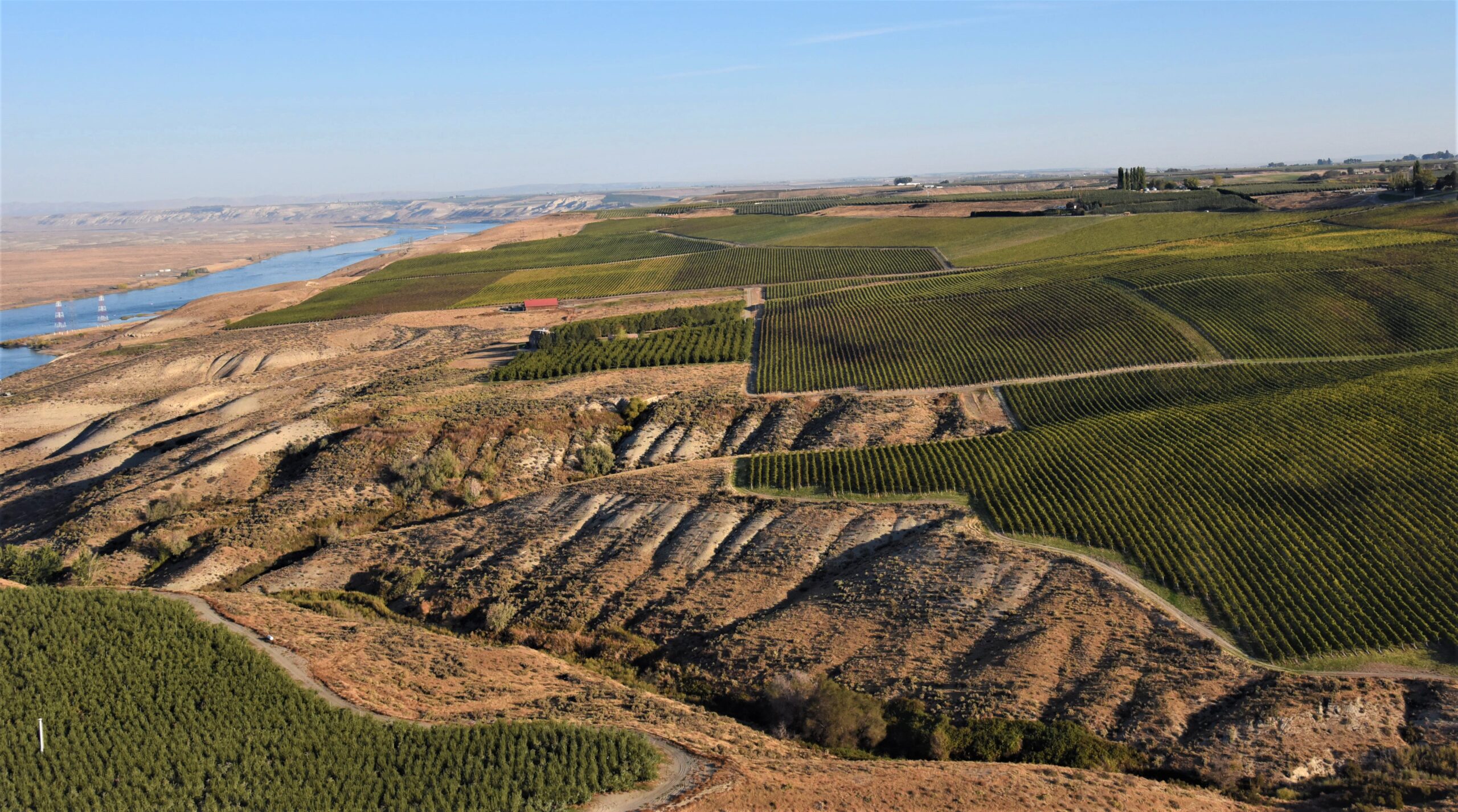 Aerial view of blocks of vineyards in neat rows, cut by a creek bed cut with dry gullies. A broad river is in the distance to the left and the sky above is hazy light blue.