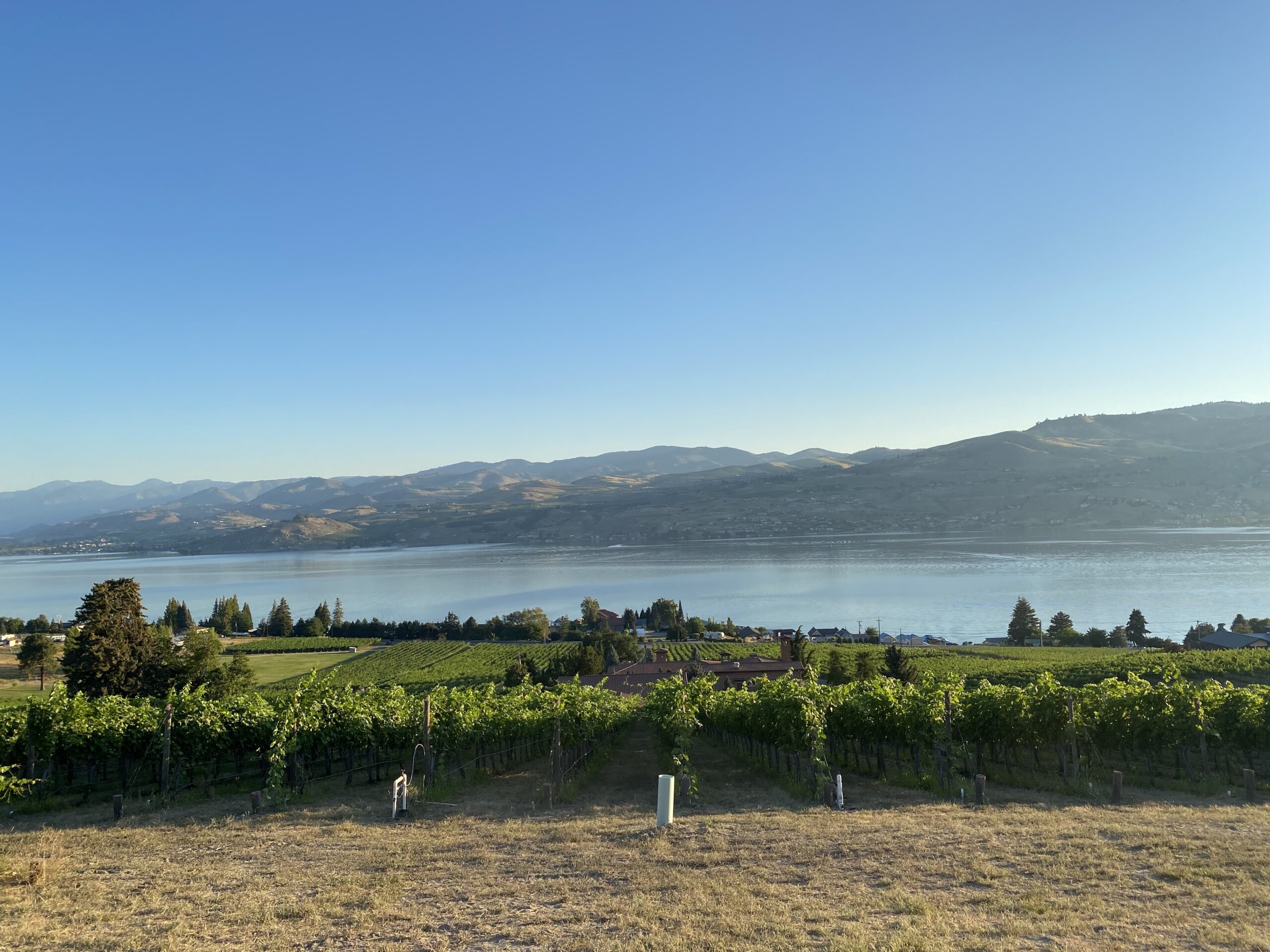 Washington State Wine Commission image