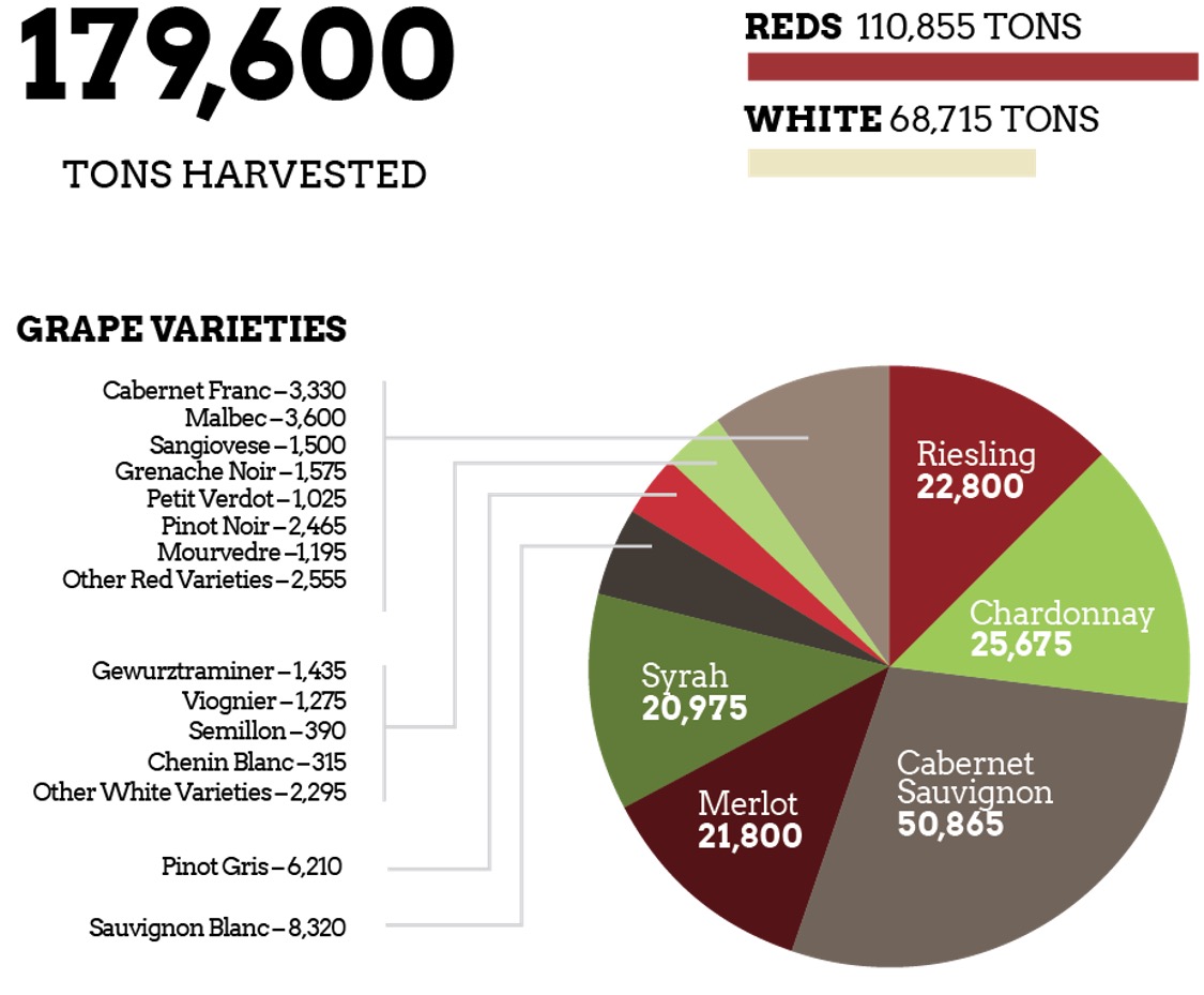 Infographic showing the total and grape variety breakdown of the 2021 harvest in Washington.