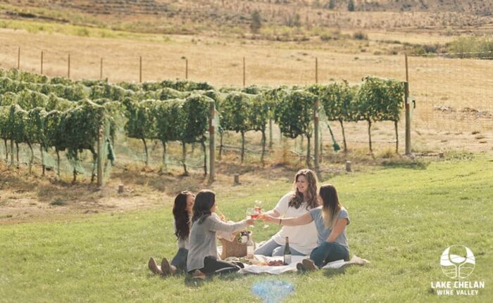 A group of women drinking wine in the grass next to a vineyard. 